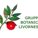 Quattro passi alla scoperta delle piante di Villa Mimbelli - Harborea